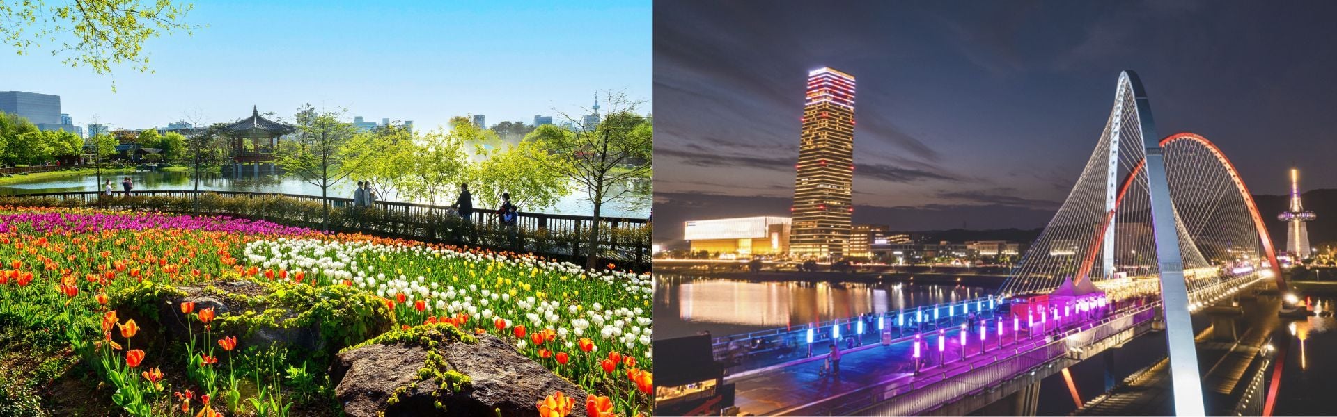 MSB 2026 Conference Venue